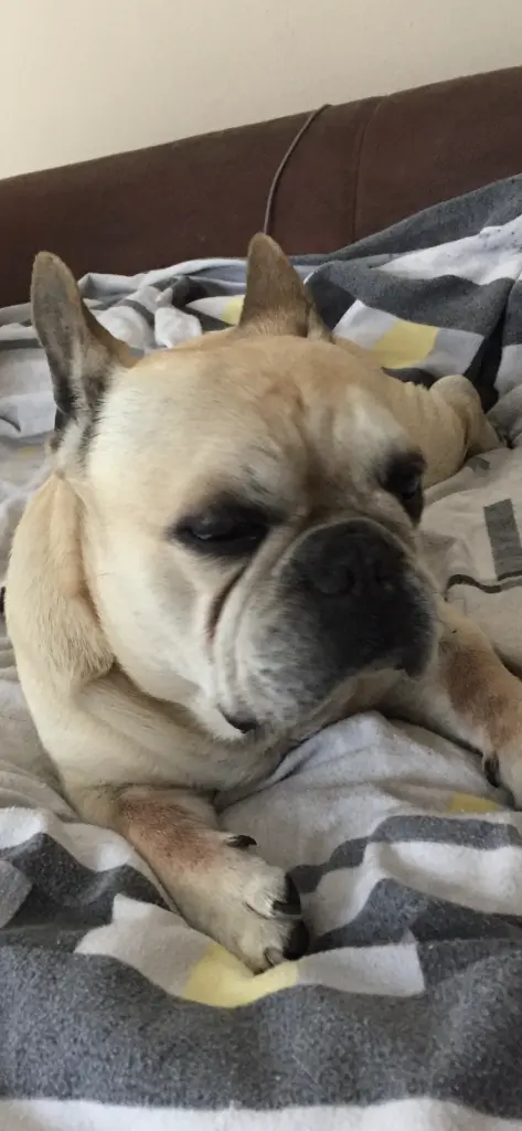 Condolence image of Margitta