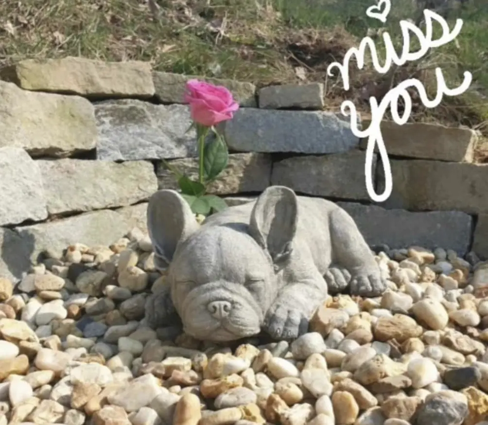 Condolence image of yvonne
