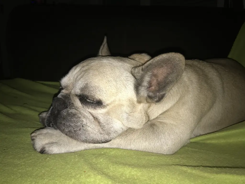 Condolence image of max