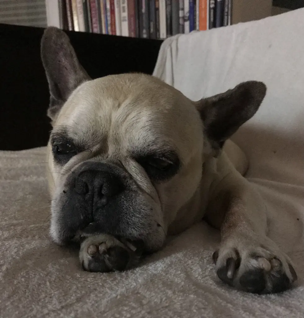 Condolence image of für max
