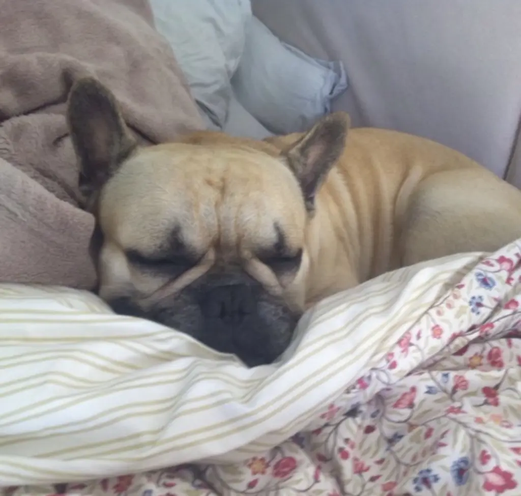 Condolence image of für mein baby