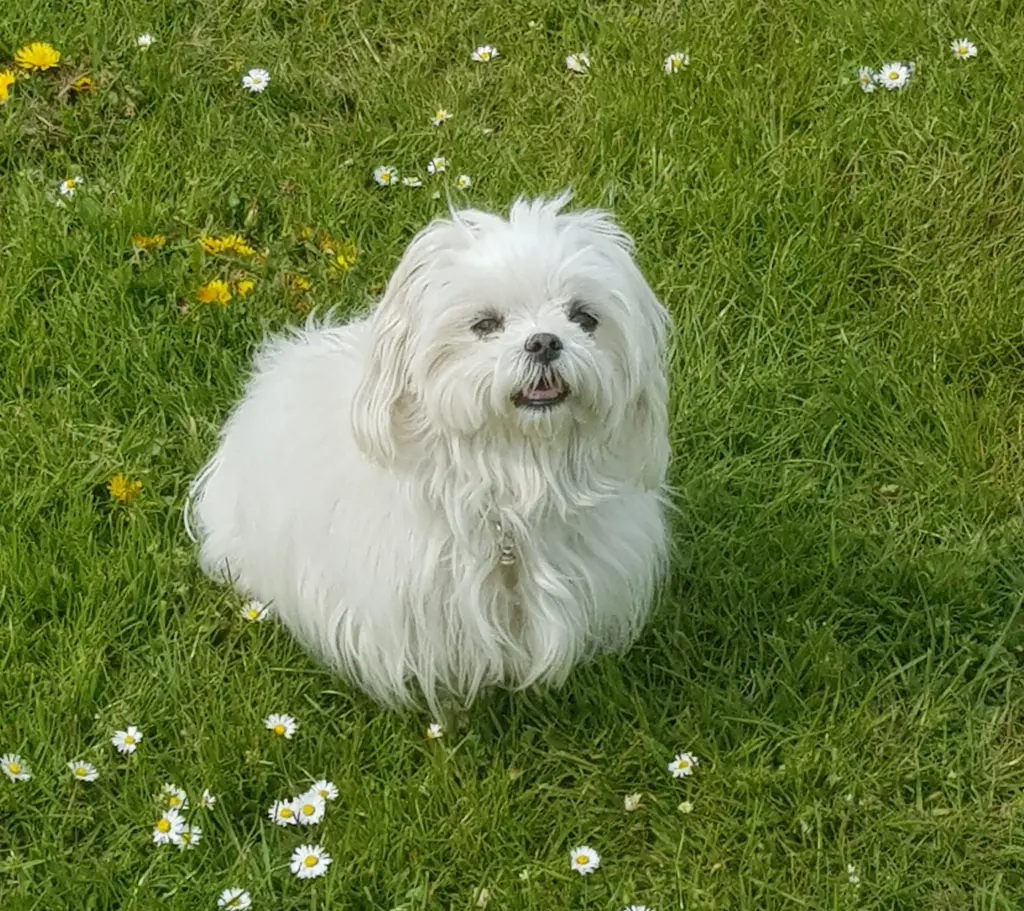 Image from Eva-Daisy