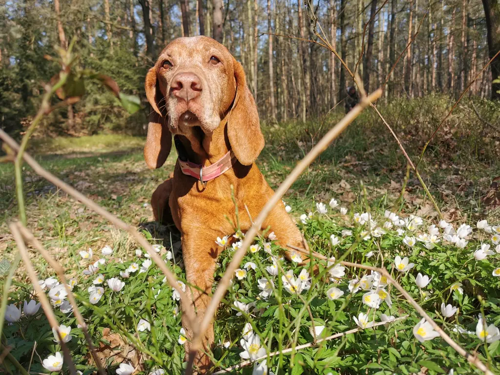 Image from Brandy