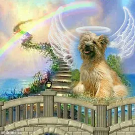 Condolence image of Juana
