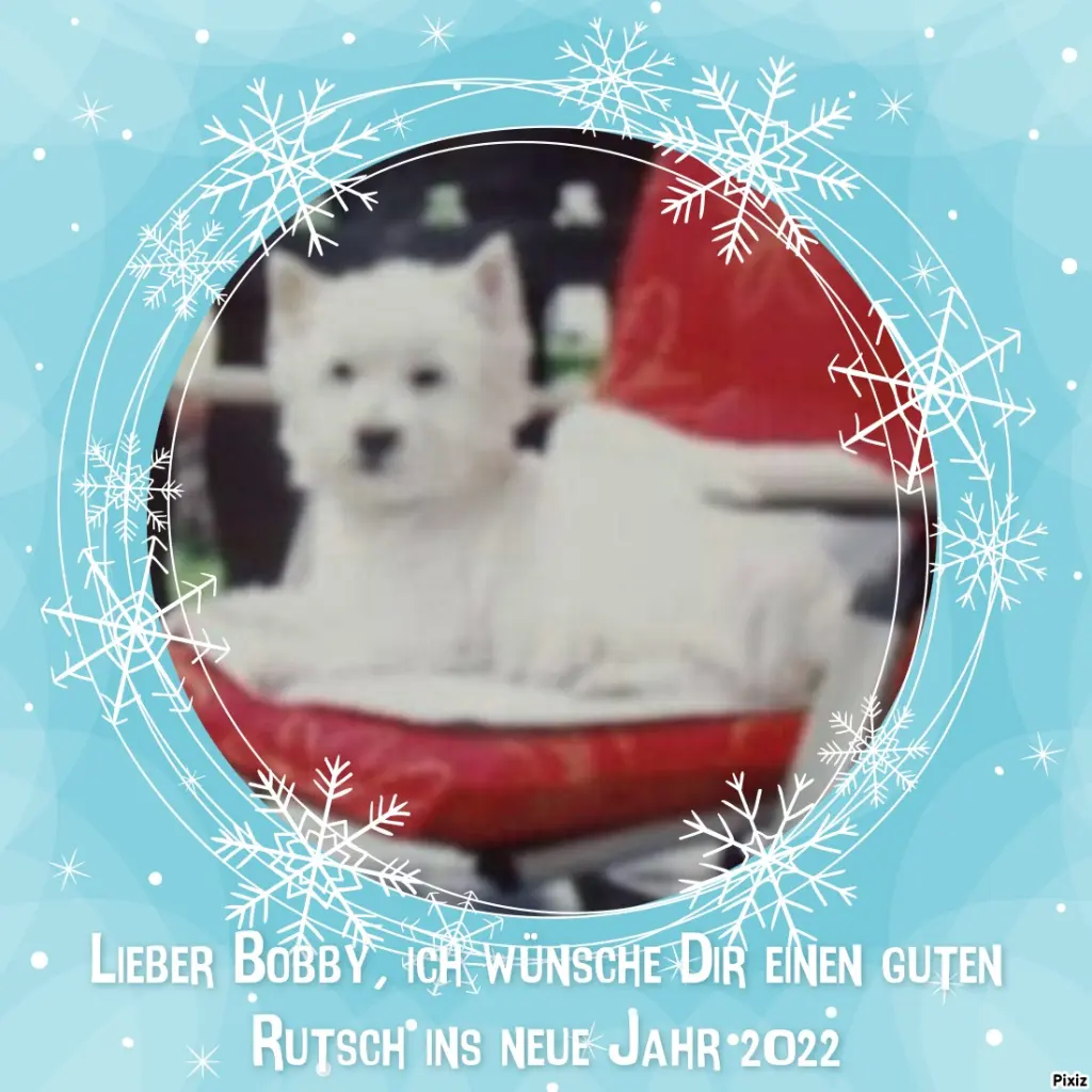 Condolence image of Tanja mit Timmy im Herzen