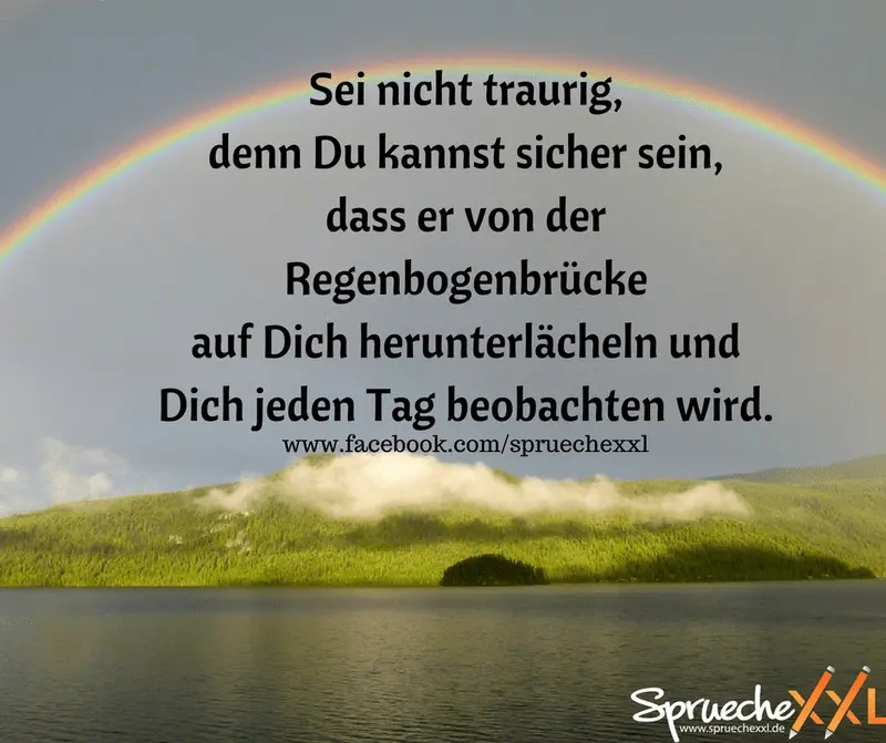Condolence image of Katrin mit Katzi im ❤️