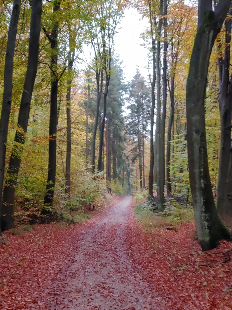 Andachtsbild von Alexandra