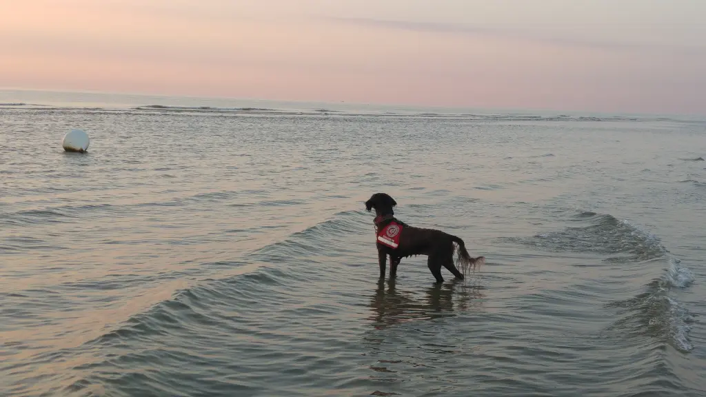 Bild von Ella Fitzgerald