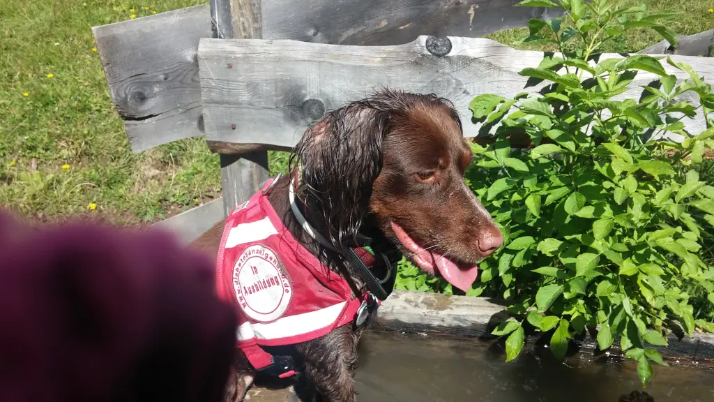 Bild von Ella Fitzgerald