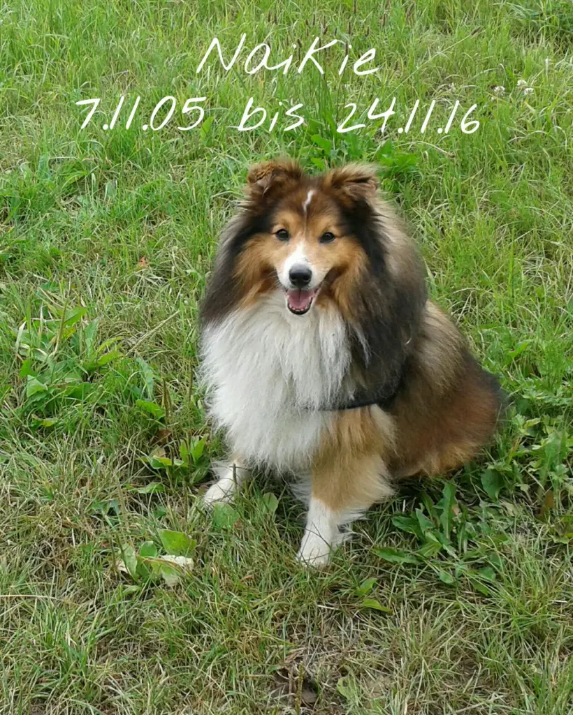 Image from Naikie