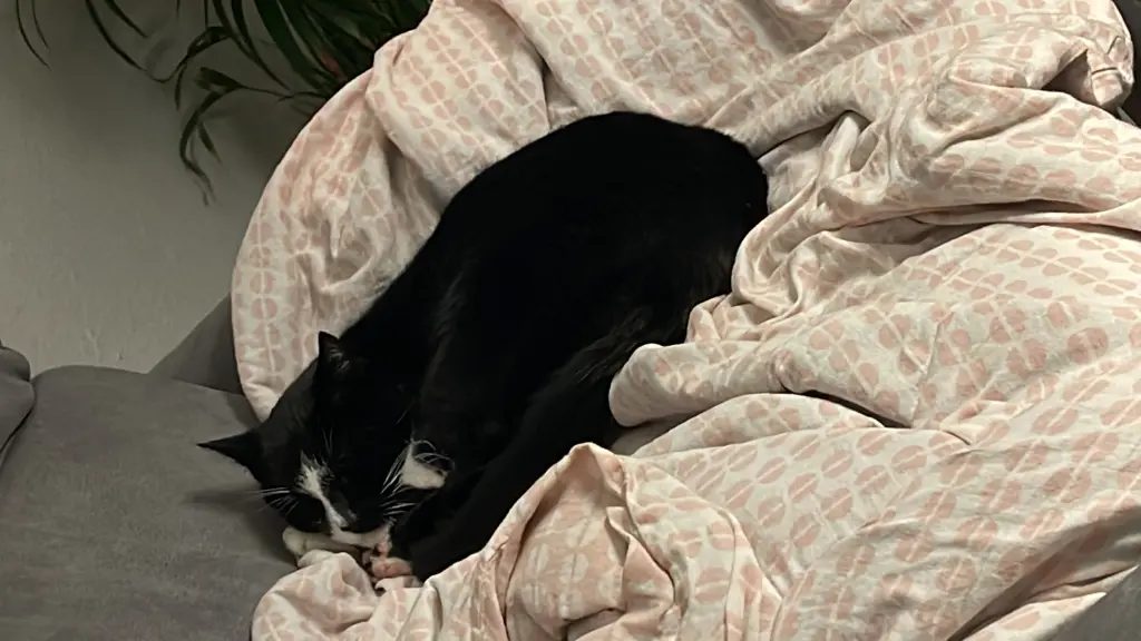 Condolence image of Sonja