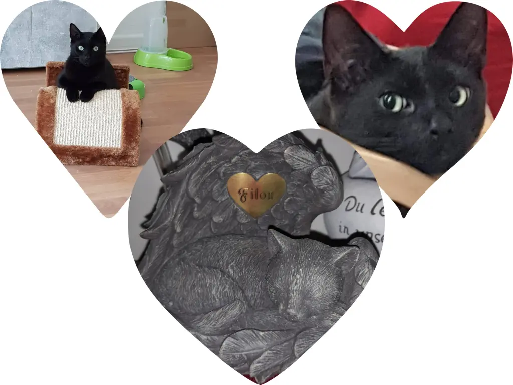 Condolence image of Tina mit Luna und Filou im Herzen