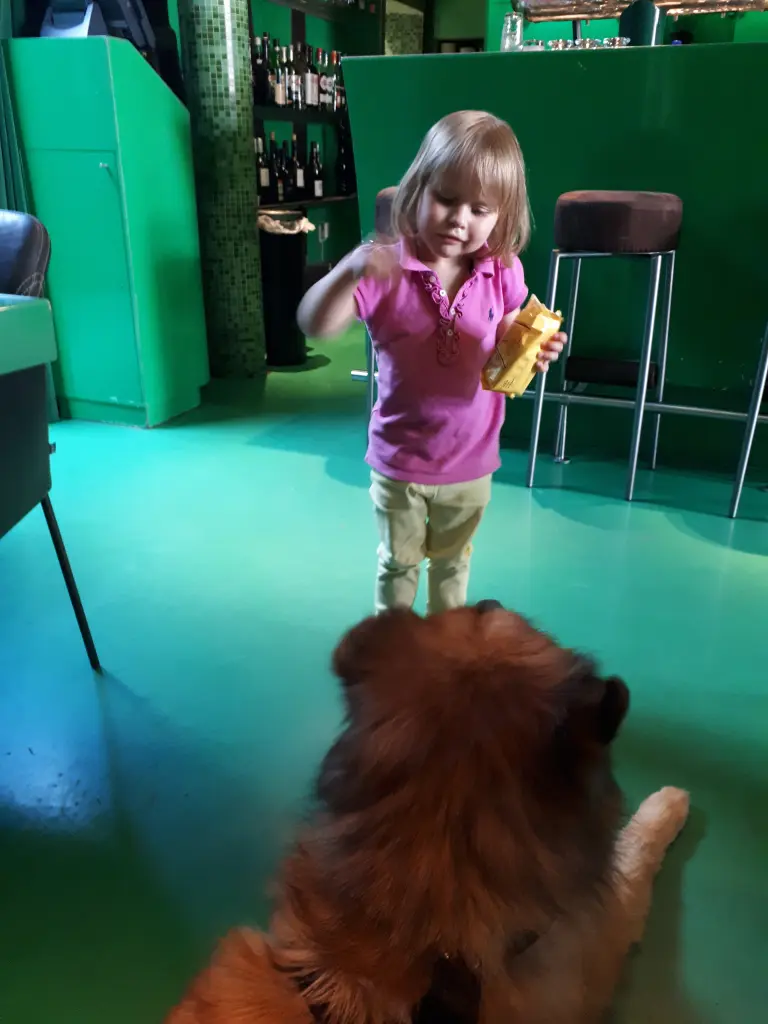 Image from Oskar