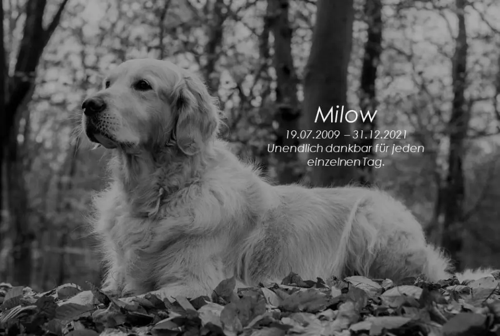 Image from Milow