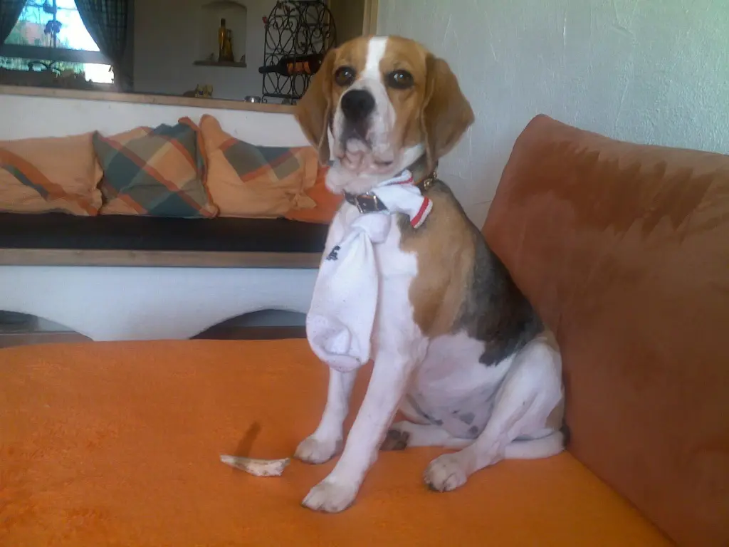 Image from Aika
