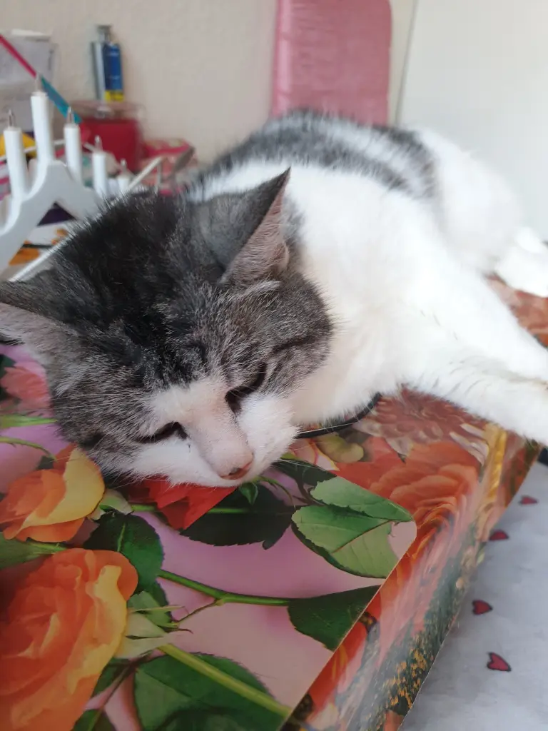 Condolence image of Martina