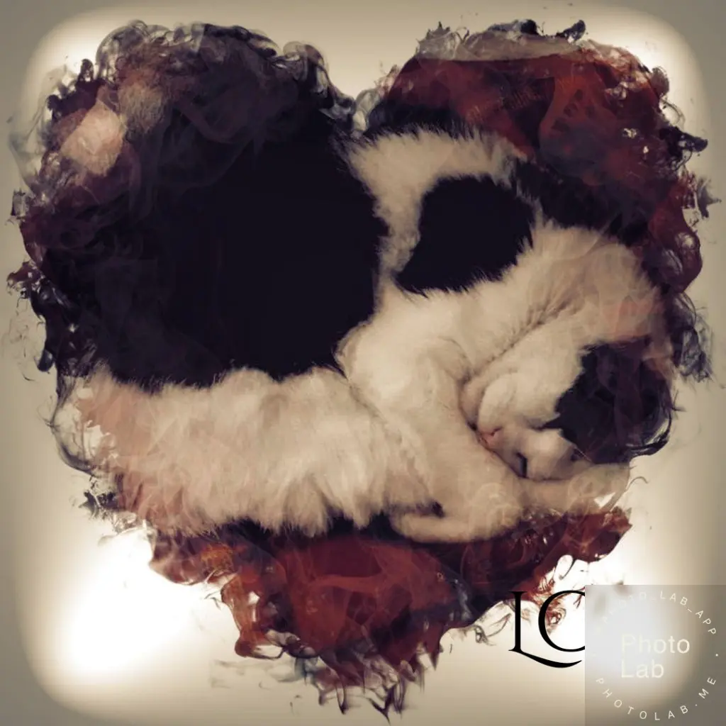 Image from Nelly