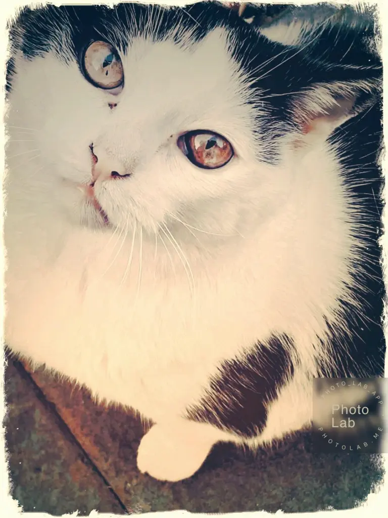 Image from Nelly