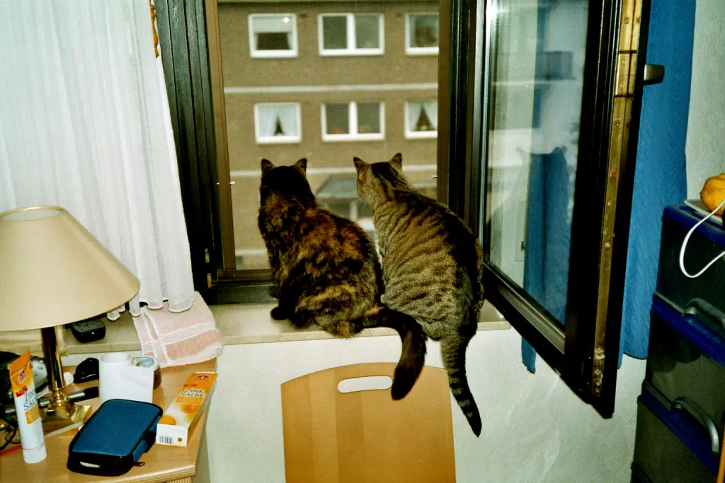 Image from Kasper