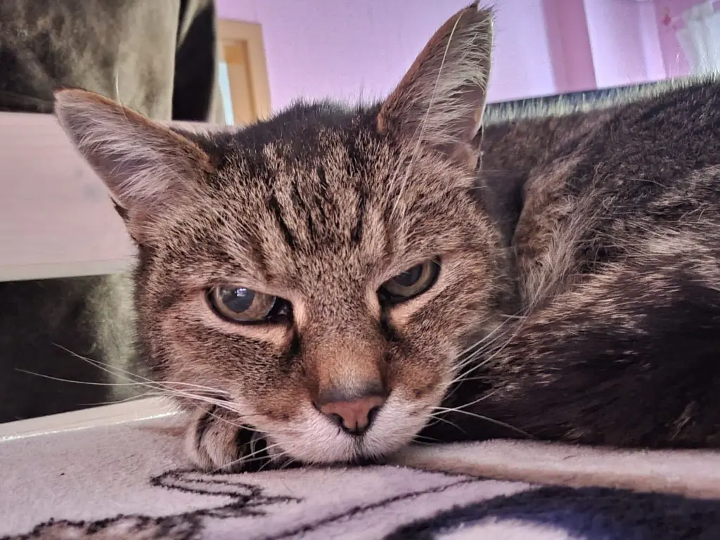 Condolence image of Vanessa