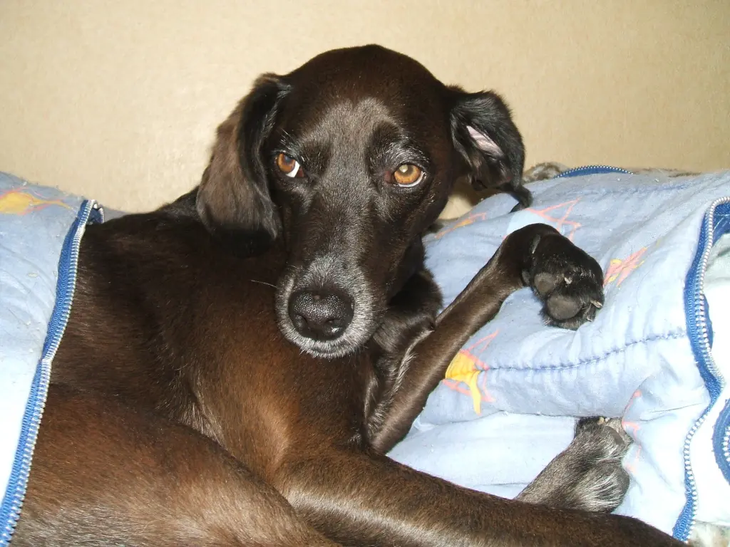 Condolence image of Erika