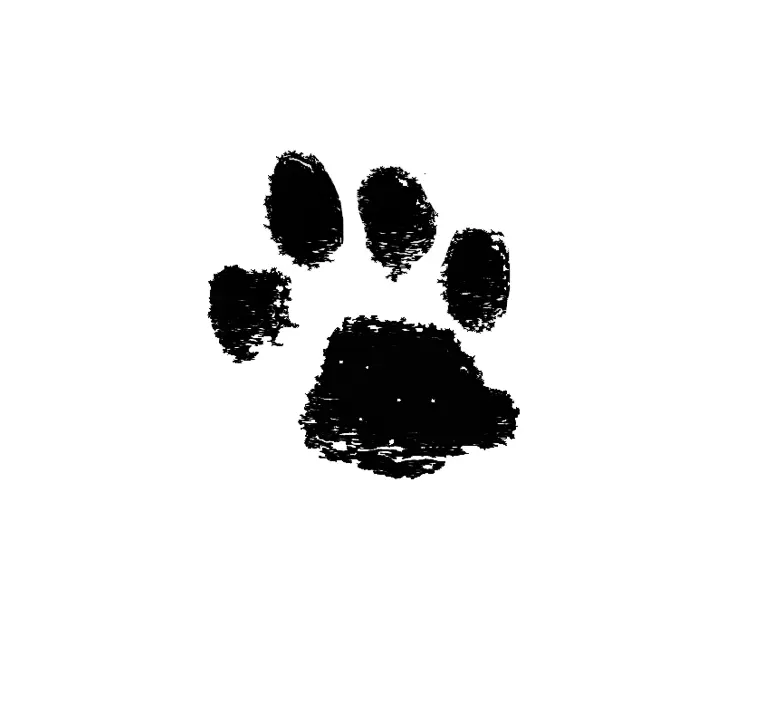 Image from Lilly