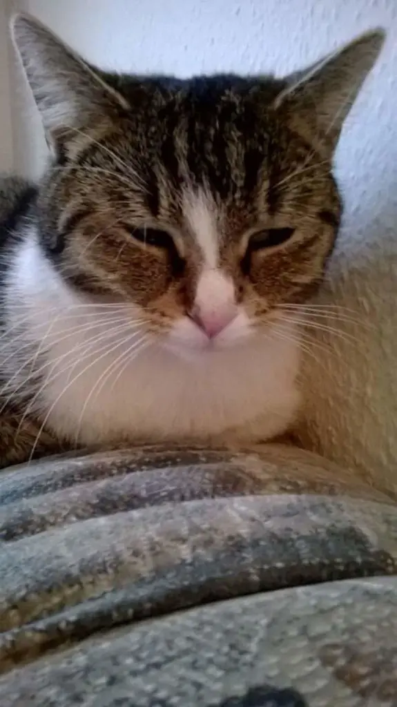 Image from Mitzi 