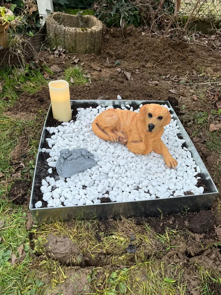 Condolence image of Biljana