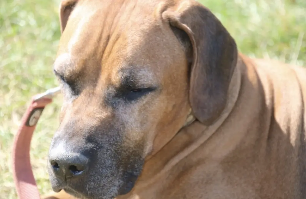 Condolence image of Unbekannt