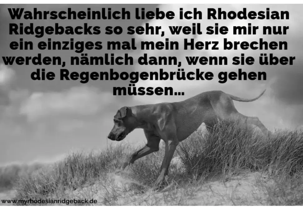 Condolence image of Unbekannt