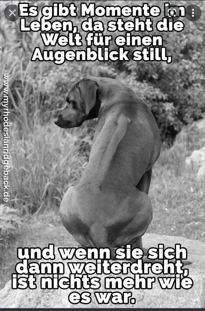 Condolence image of Unbekannt