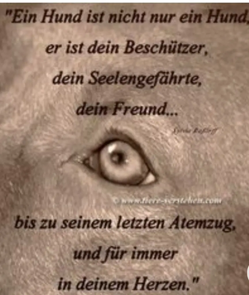 Condolence image of Unbekannt