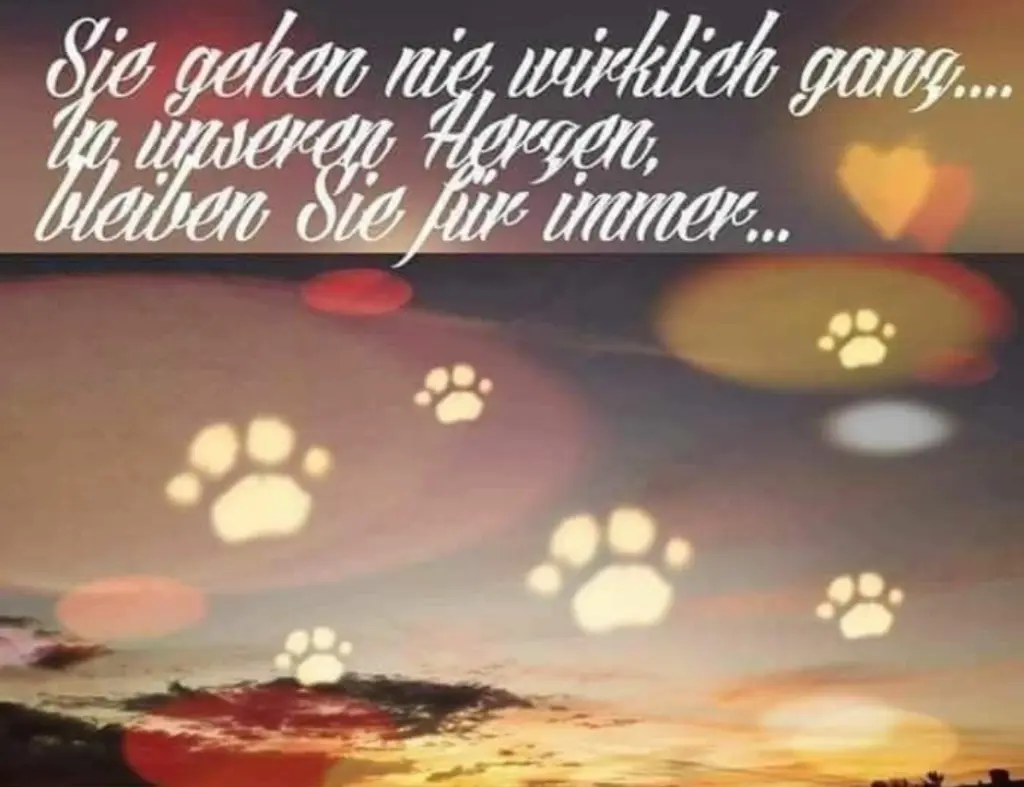 Condolence image of Unbekannt