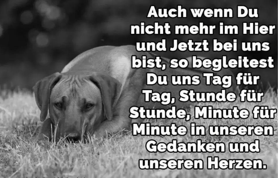 Condolence image of Unbekannt