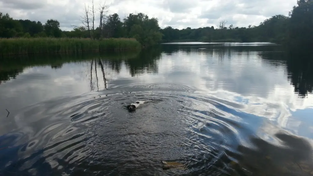 Image from Flocke