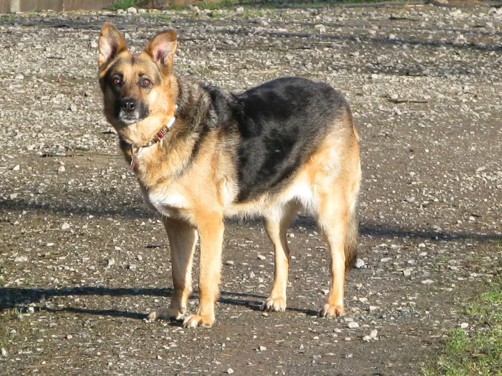 Image from Hanni