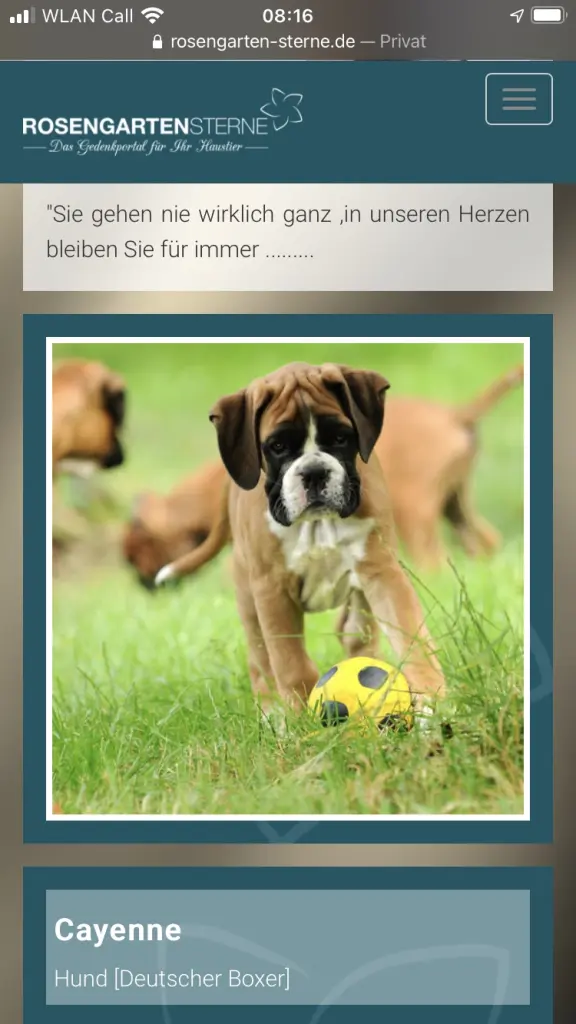 Condolence image of In Liebe