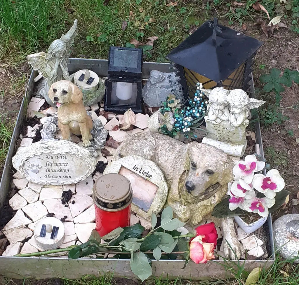 Condolence image of Biljana