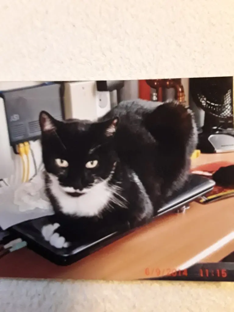 Condolence image of Angela