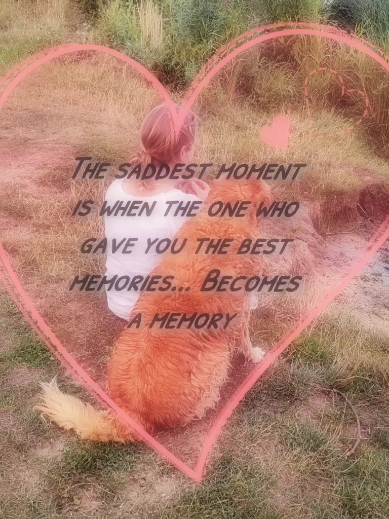 Image from Aimee