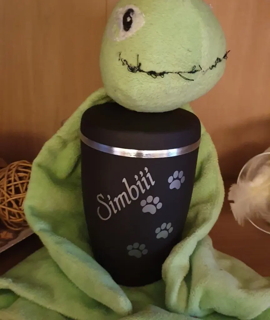 Image from Simbiii
