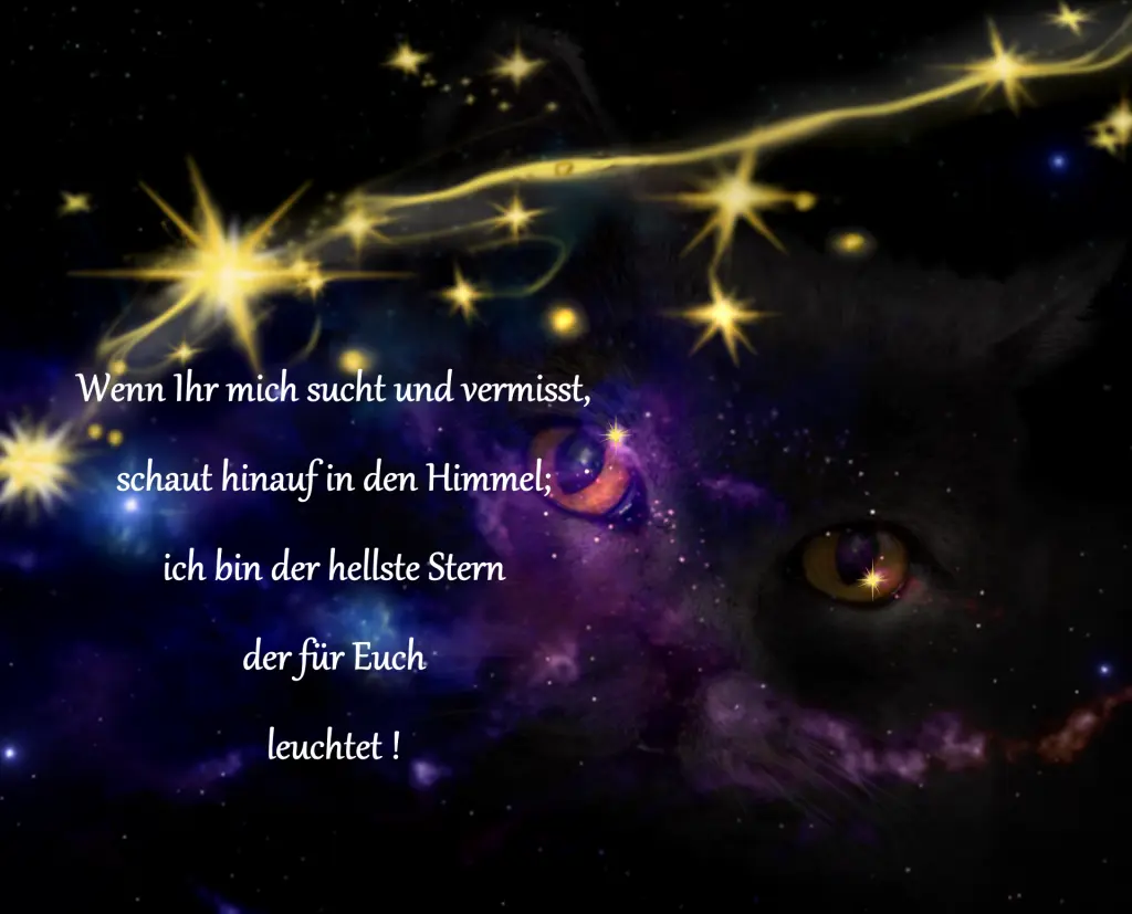 Condolence image of Margitta Wünsche