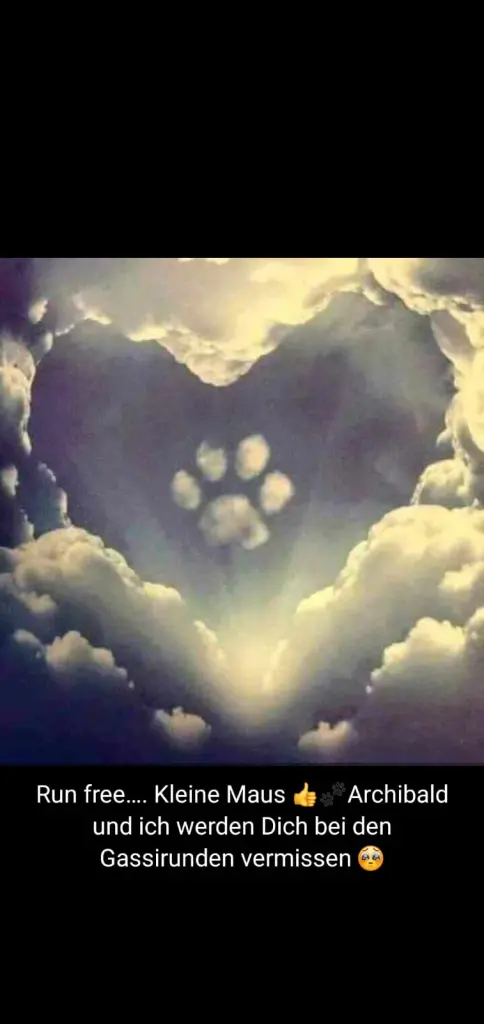 Condolence image of Schneckchen Erbe