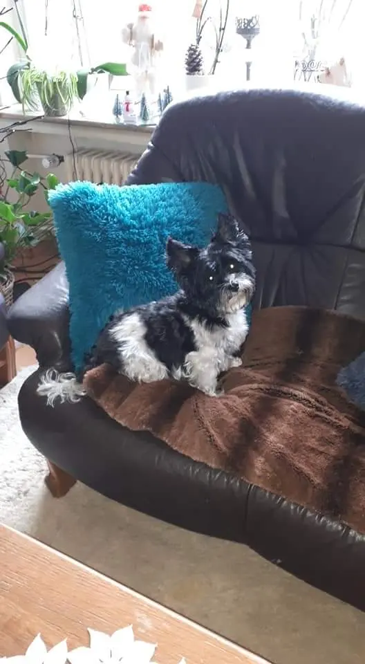 Andachtsbild von Unbekannt