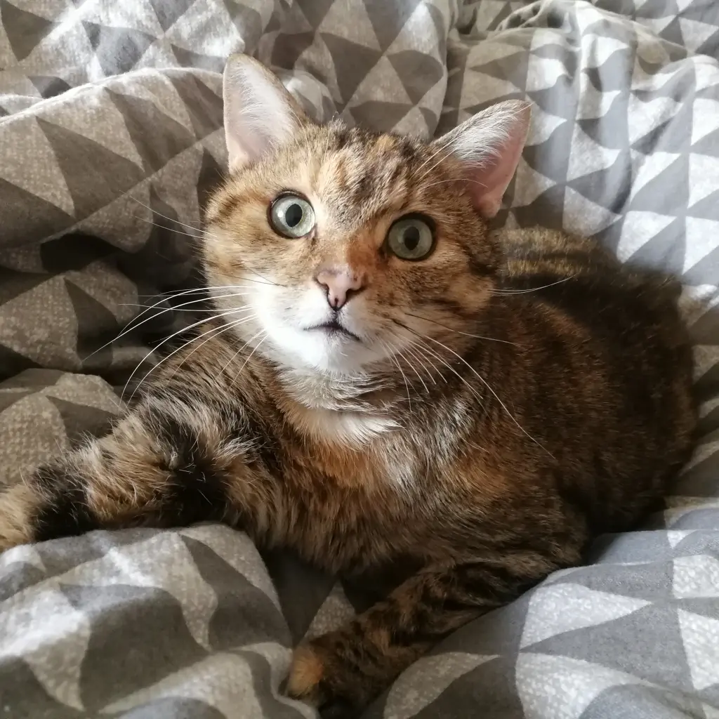 Andachtsbild von Daniela mit Pauline im ♥️ (+27.05.2021)