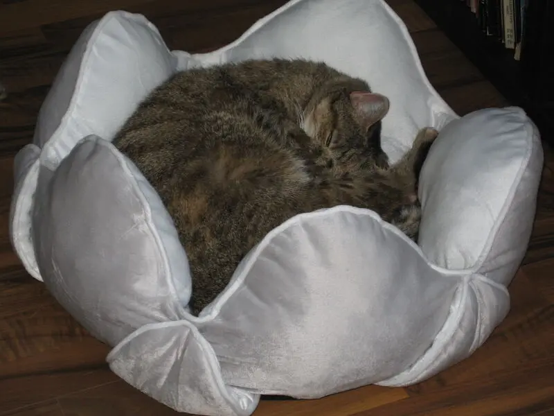 Andachtsbild von Sternchenpost von Emma