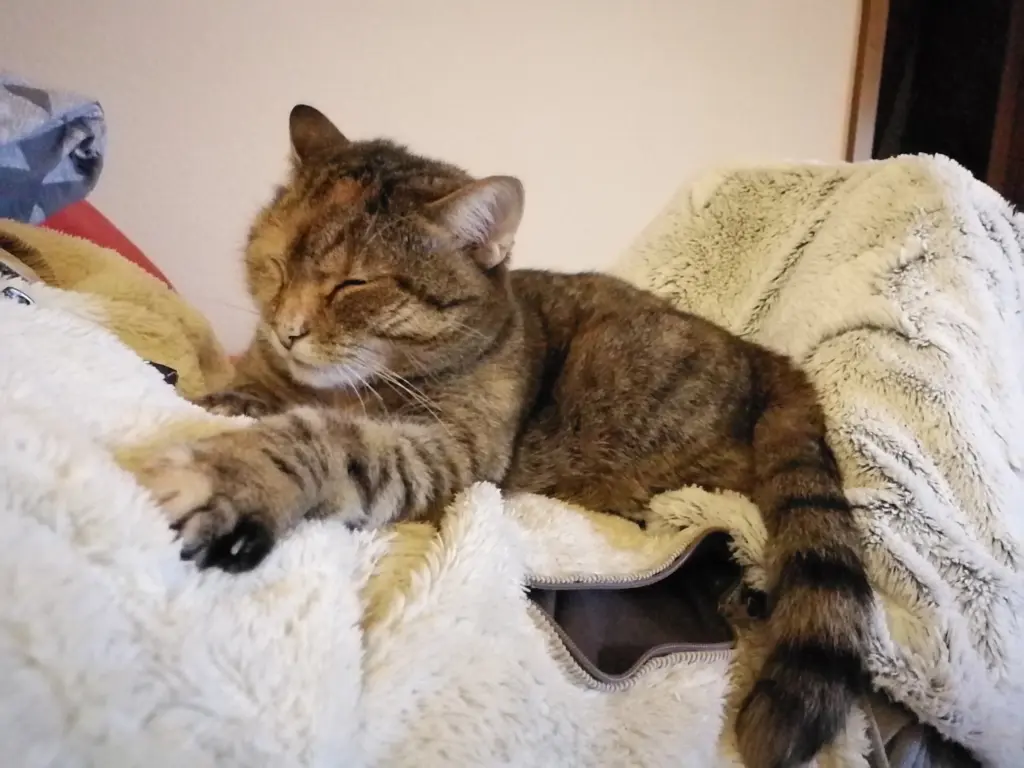 Andachtsbild von Daniela und Pauline für Emma ❤️ und Mama Sonja