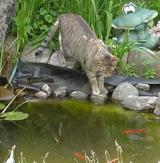 Andachtsbild von Elisabeth mit Marple im Herzen