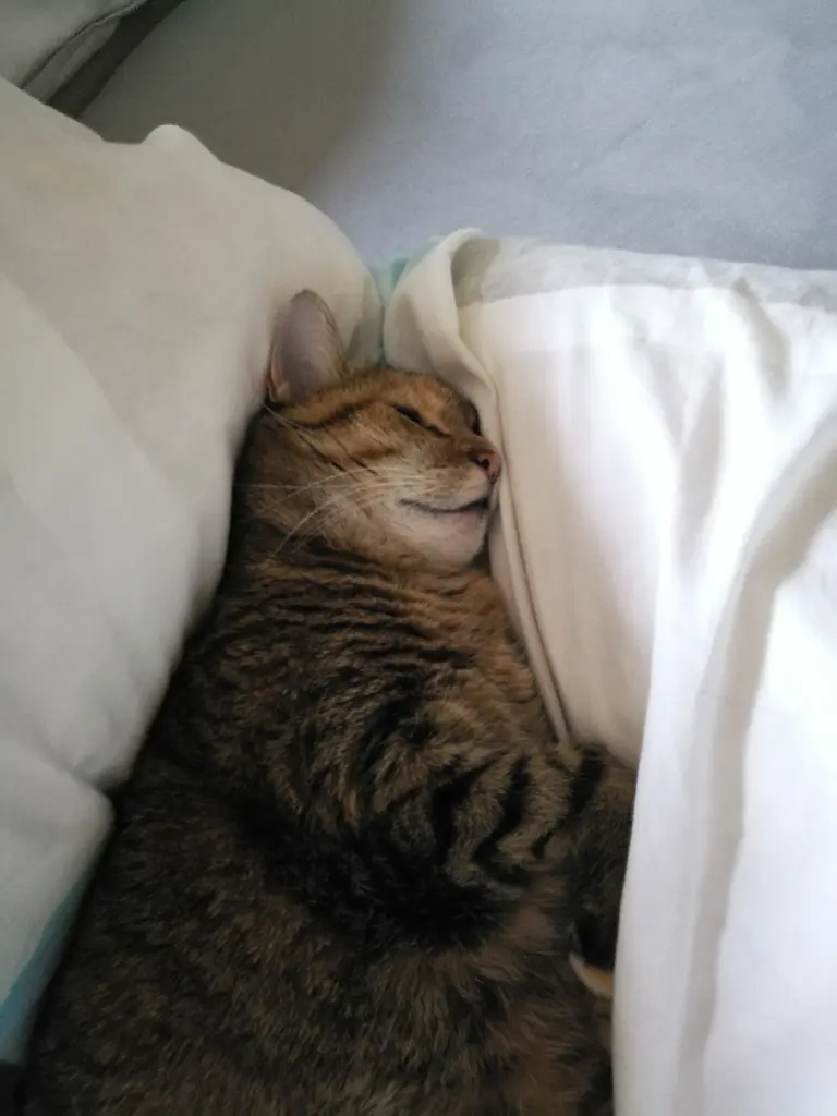 Andachtsbild von Daniela mit Pauline im ♥️ (+27.05.2021)