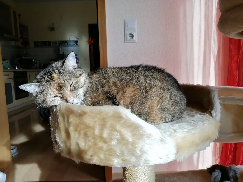 Andachtsbild von Daniela mit Pauline im ♥️ (+27.05.2021)